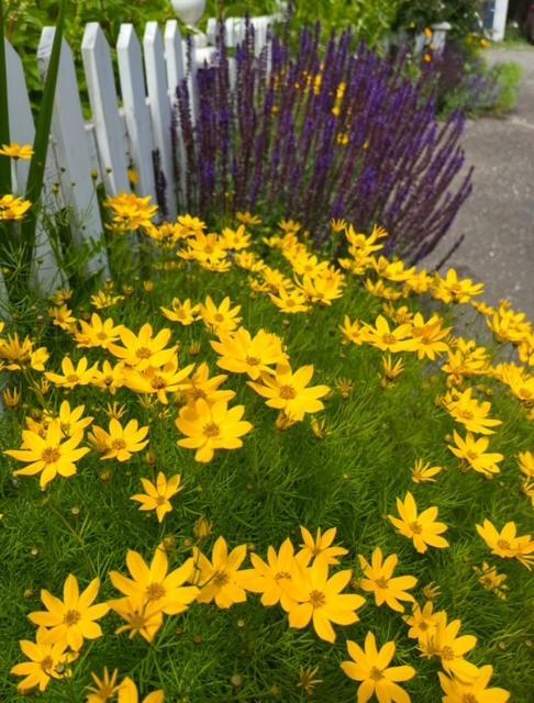 The Hazelhouse Bed and Breakfast Chilliwack Exteriör bild
