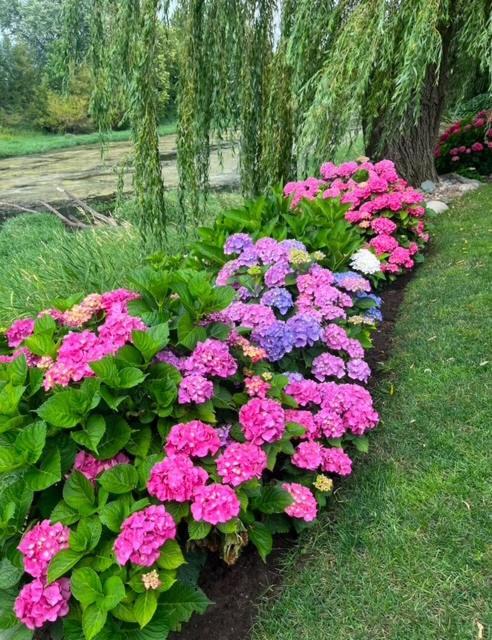 The Hazelhouse Bed and Breakfast Chilliwack Exteriör bild